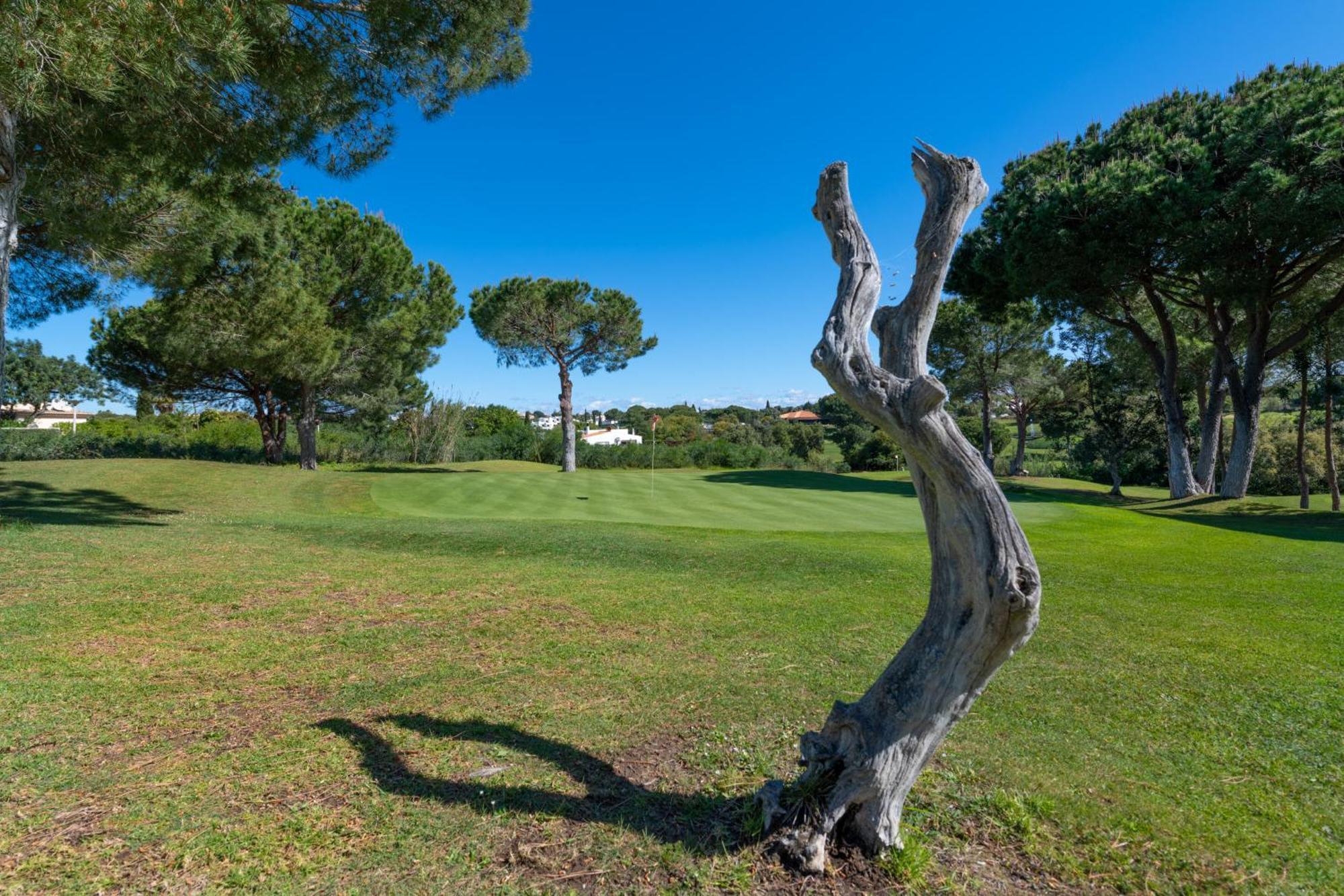 Balaia Golf Vilage 5 With Pool By Homing * Albufeira